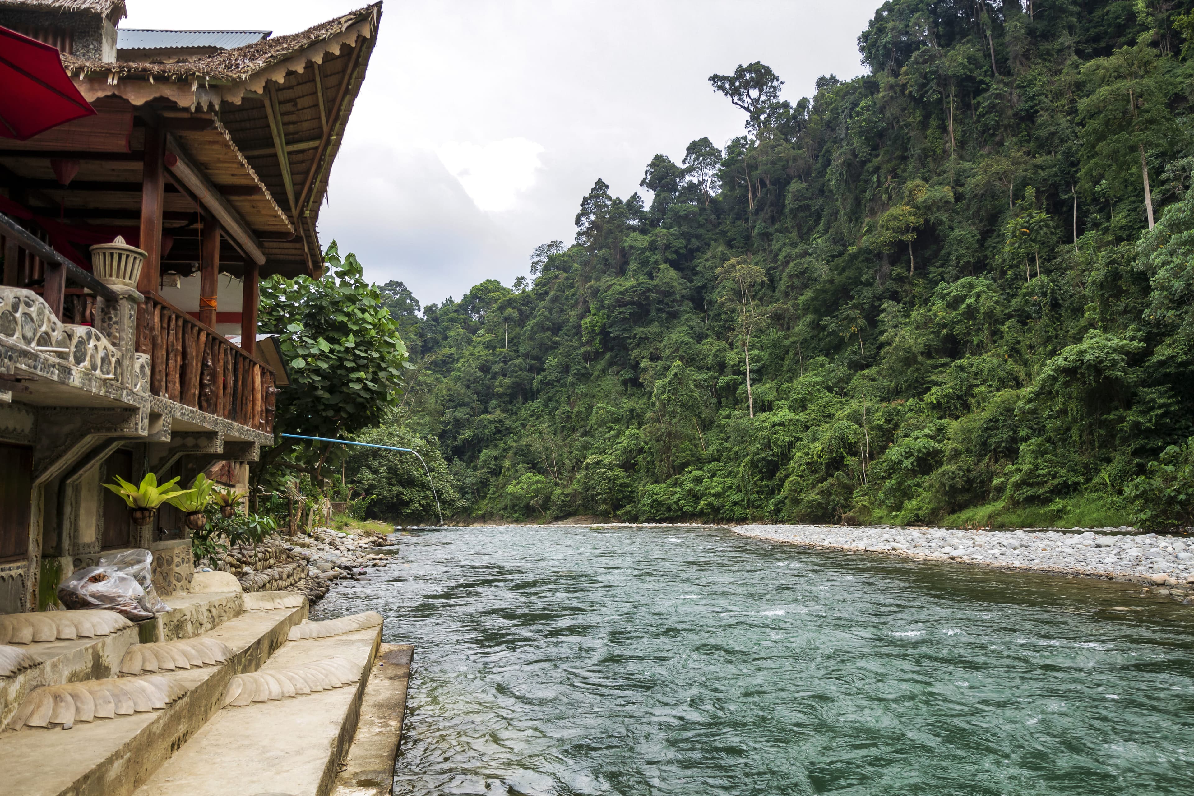 Sumatra — Untamed Wilderness